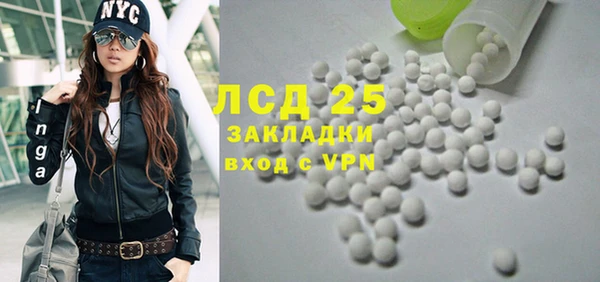 крисы Алзамай
