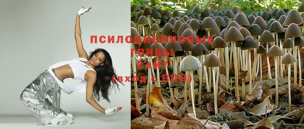 прущая мука Алексин