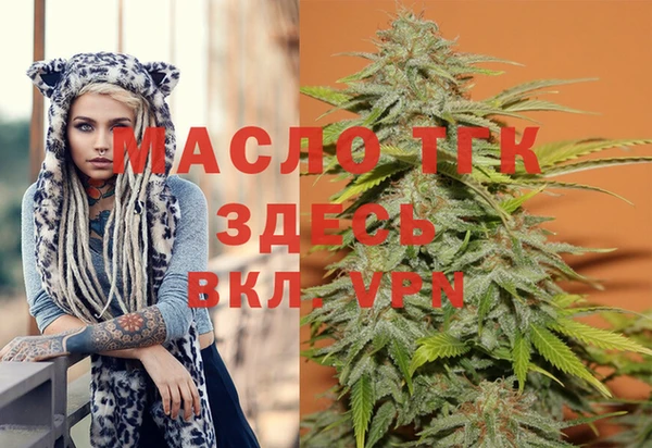 крисы Алзамай