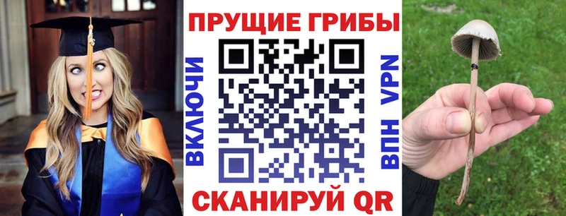 Галлюциногенные грибы GOLDEN TEACHER Куса